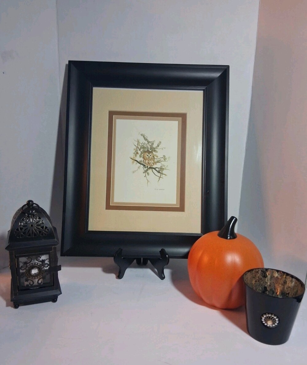 VTG'77 "Saw-Whet Owl" Framed Lithograph Art Prnt by Martin Glen Loates Wildlife